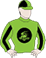 Ashina racing colours: Lime Green, Black High Calibre Racing Logo, Striped Sleeves, Quartered Cap