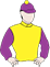 Bifrost racing colours: Yellow, Purple Sleeves And Cap, Yellow Pom Pom